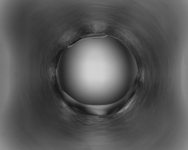 X0000088390184200705221122