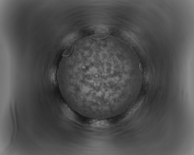 X0000088390185200705221122