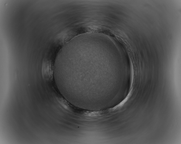 X0000088390186200705221122