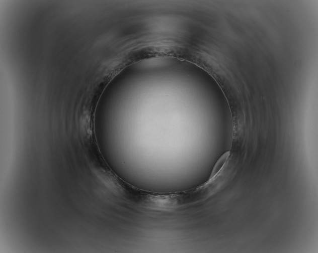 X0000088390187200705221122