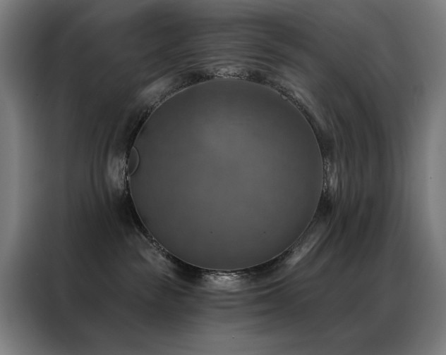 X0000088390189200705221122