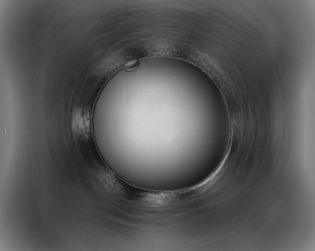 X0000088390190200705221122