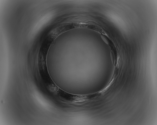 X0000088390191200705221122