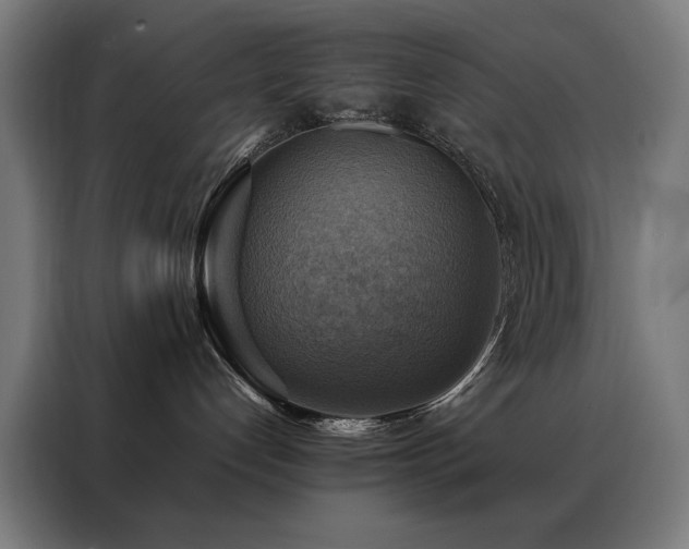 X0000088390192200705221122