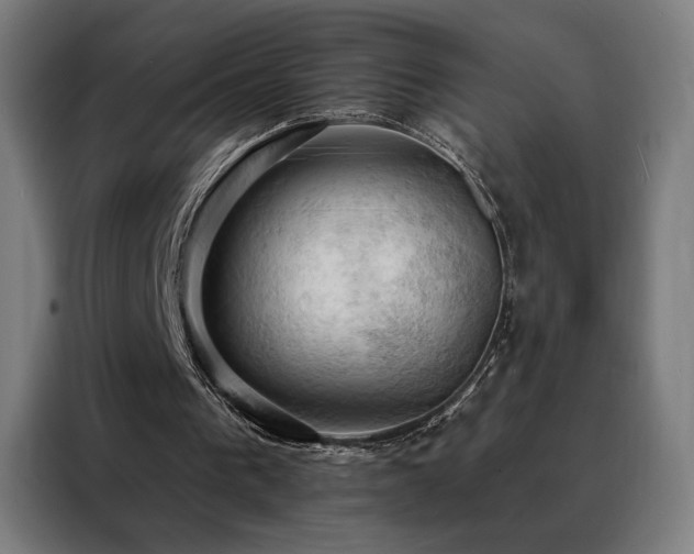 X0000088390193200705221121