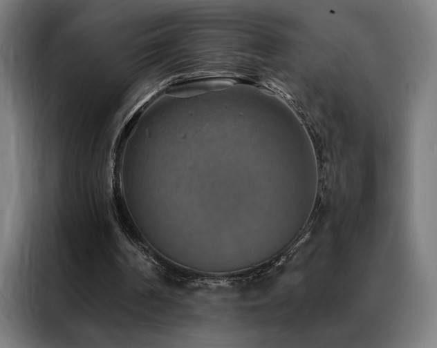 X0000088390194200705221121