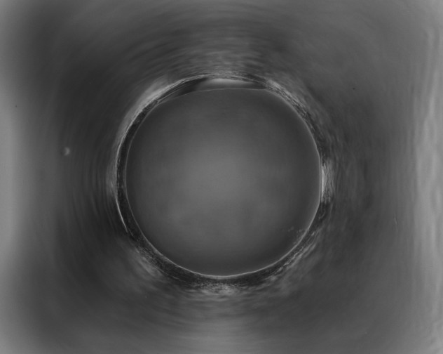 X0000088390195200705221121