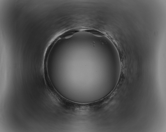 X0000088390196200705221121