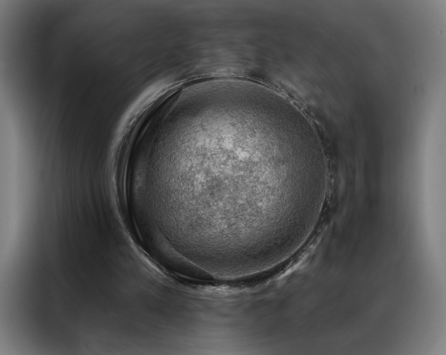 X0000088390197200705221121