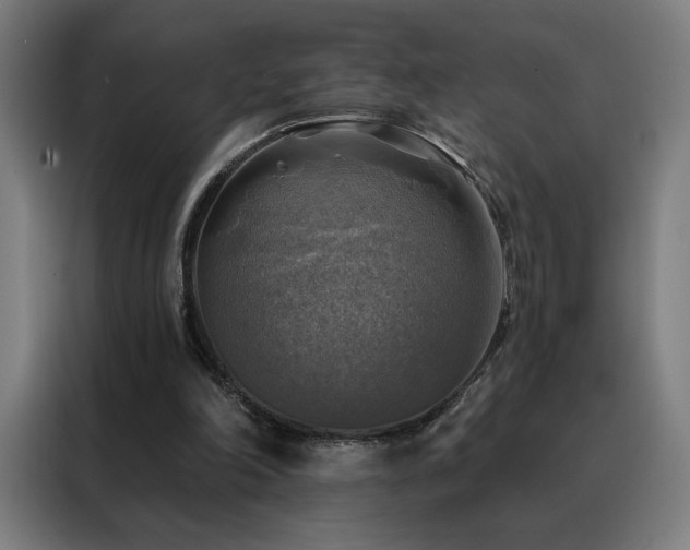 X0000088390198200705221121