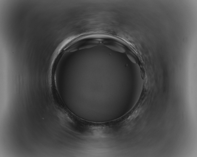 X0000088390200200705221121