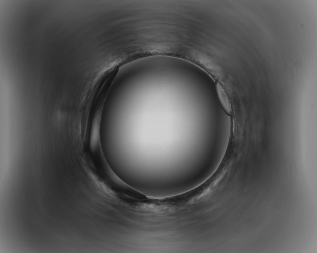 X0000088390201200705221121