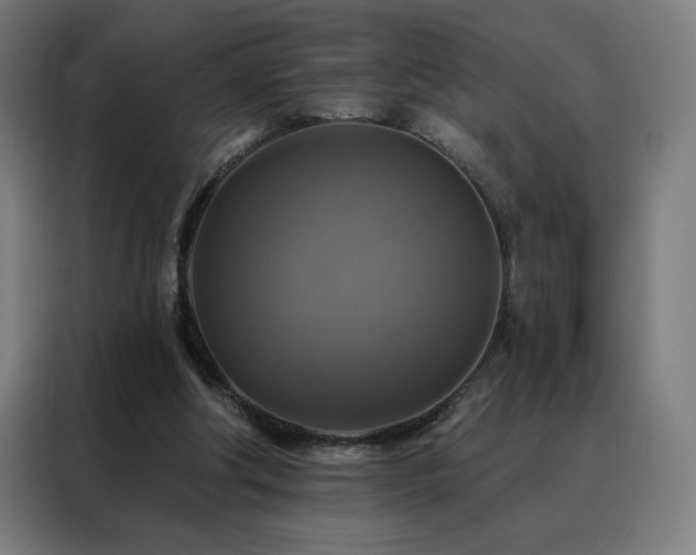 X0000088390202200705221121