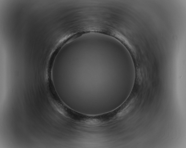 X0000088390203200705221121