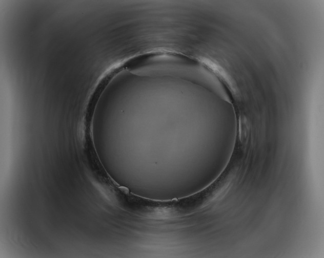 X0000088390204200705221121