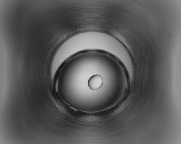 X0000088390205200705221121