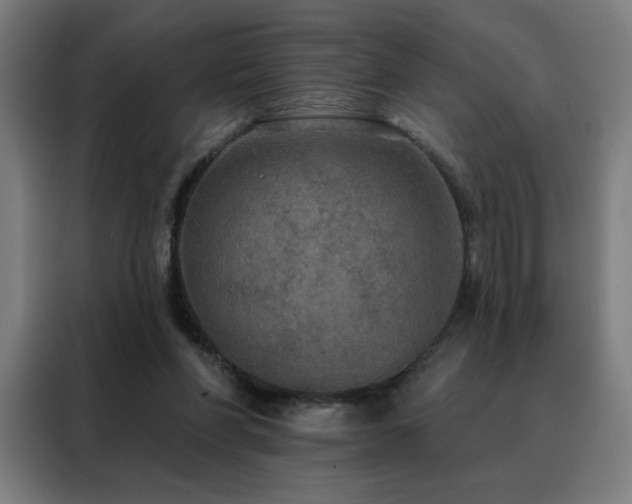 X0000088390206200705221121