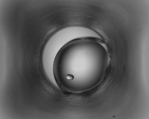 X0000088390207200705221121