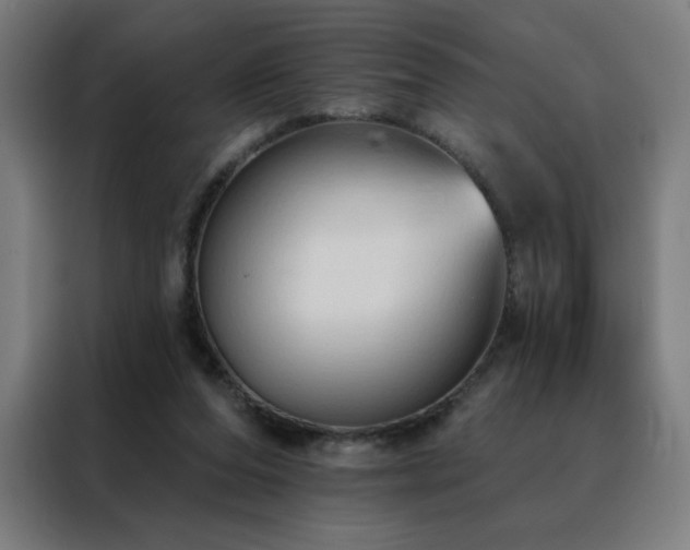 X0000088390208200705221121