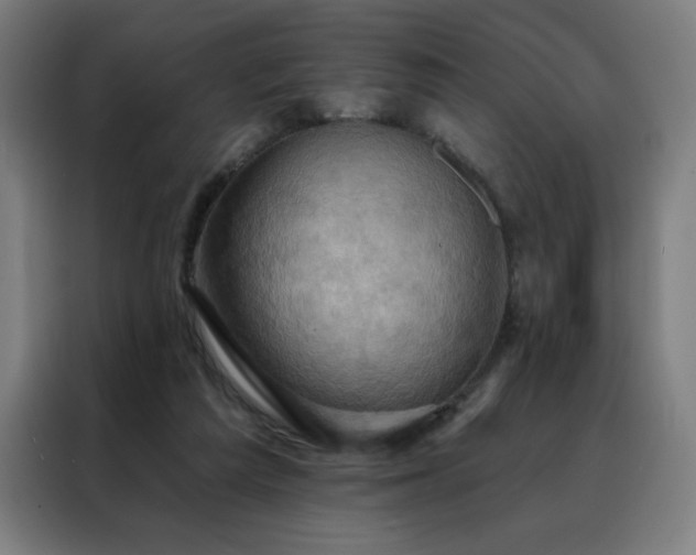 X0000088390209200705221121