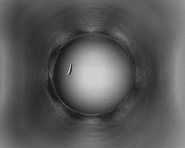 X0000088390210200705221121