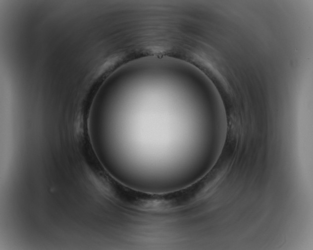 X0000088390212200705221121