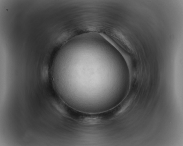 X0000088390213200705221121