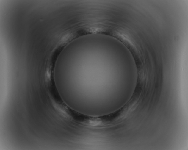 X0000088390214200705221121