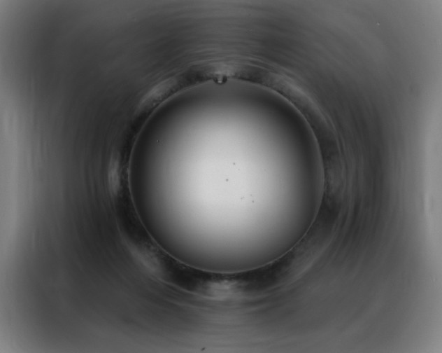 X0000088390216200705221121