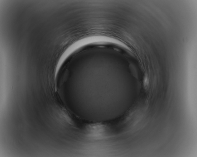 X0000088390219200705221121