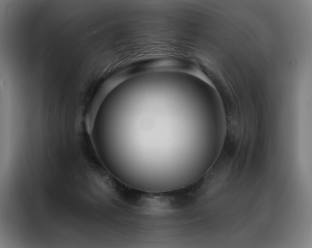 X0000088390221200705221121