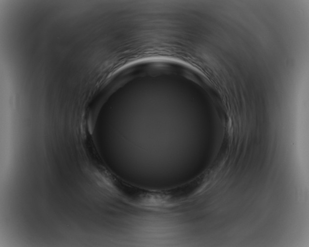 X0000088390223200705221121