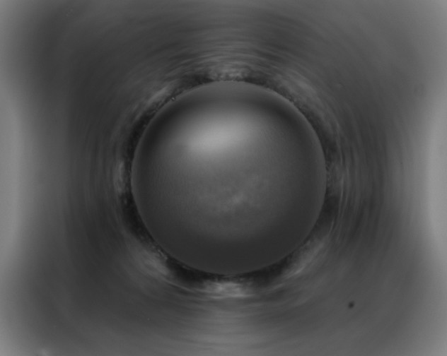 X0000088390224200705221121