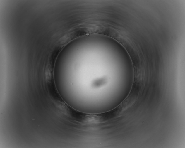 X0000088390226200705221121