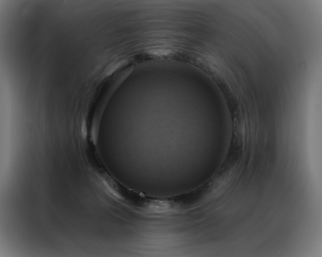 X0000088390227200705221121