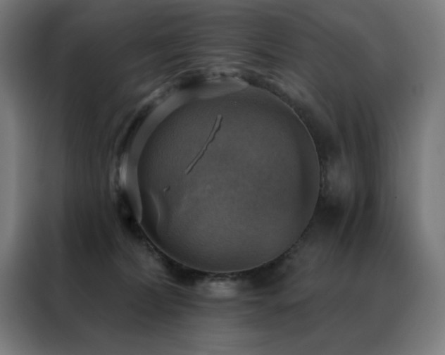 X0000088390228200705221121