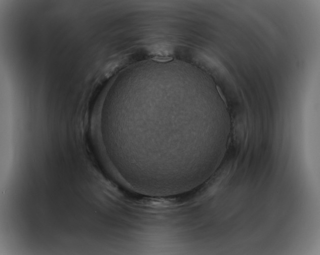 X0000088390229200705221121