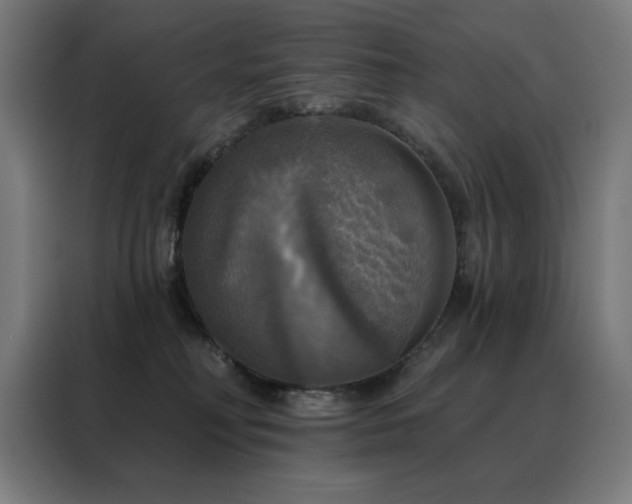 X0000088390230200705221121