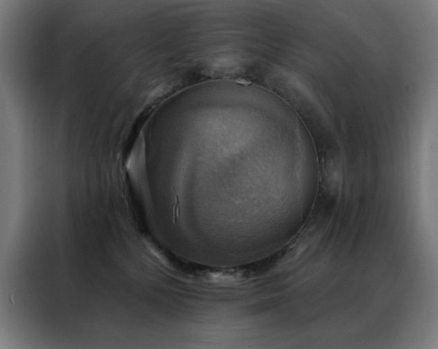 X0000088390232200705221121