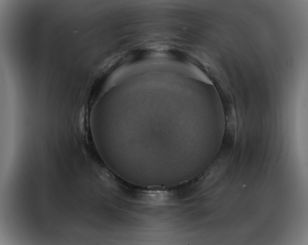 X0000088390233200705221121