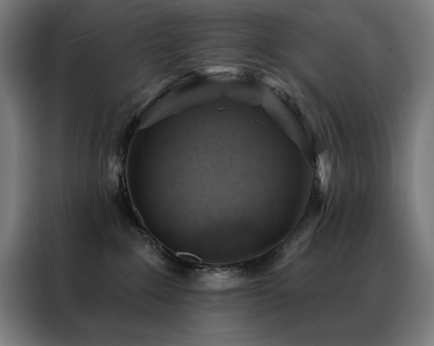 X0000088390235200705221121