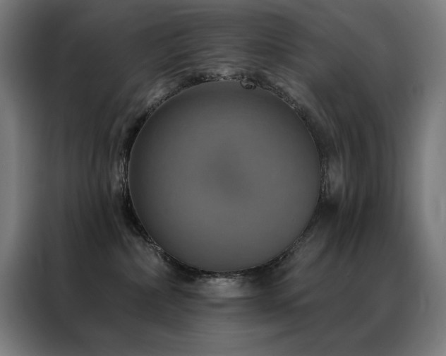 X0000088390236200705221121