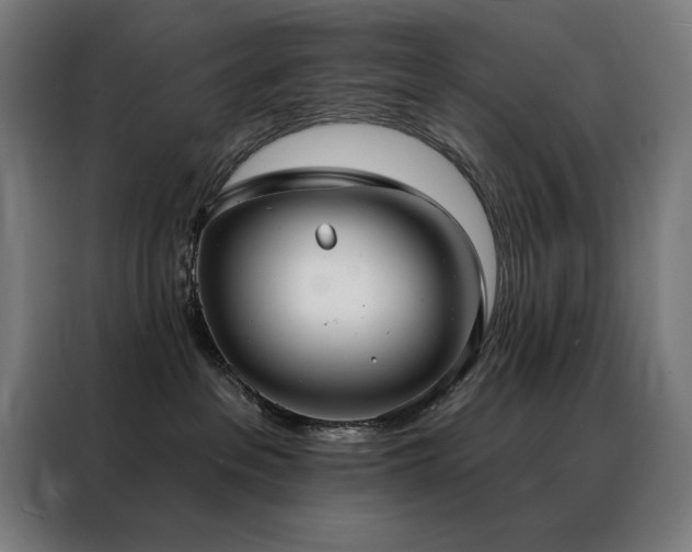 X0000088390237200705221121