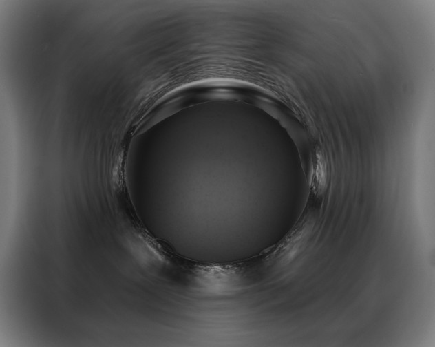 X0000088390239200705221121