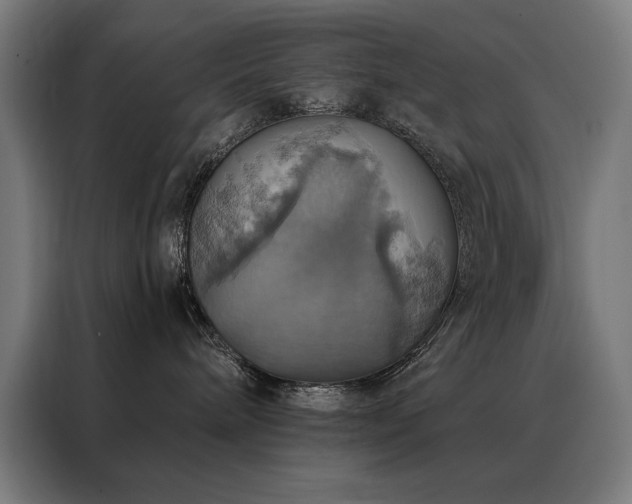 X0000088390240200705221121