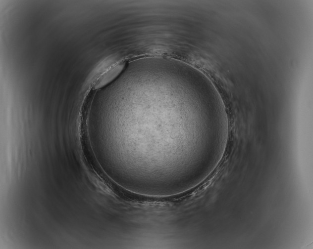 X0000088390242200705221120