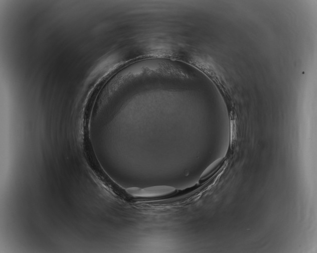 X0000088390243200705221120