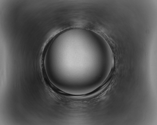 X0000088390244200705221120