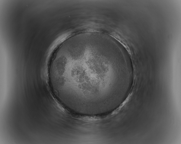 X0000088390245200705221120