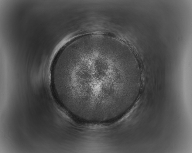 X0000088390246200705221120